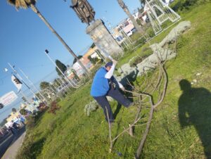 Trabajo constante en el mejoramiento de parques y áreas verdes en SPCH